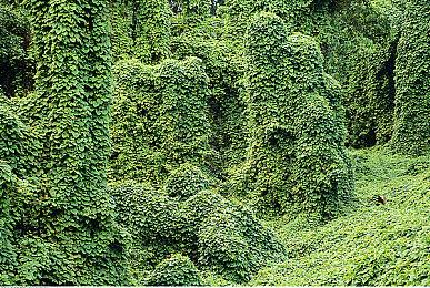 恐怖游戏新作《In Sound Mind》打造主题曲动画MV