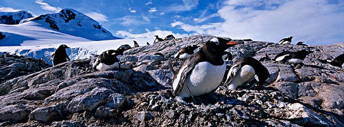 杭州亚运会电子竞技项目参赛运动员名单公布